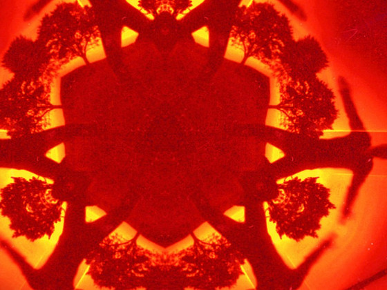 Boards Of Canada Geogaddi (3LP)