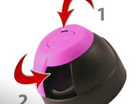 Pintyplus