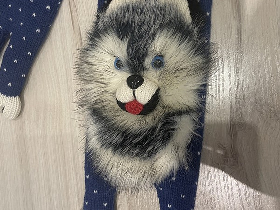 Sall Husky