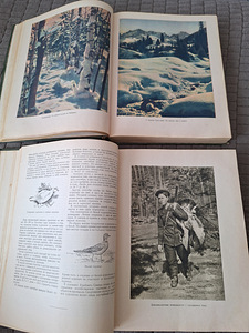 2 тома редкой книги Настольная книга ОХОТНИКА СПОРТСМЕНА. (5 фото из 7)