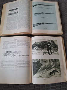 2 тома редкой книги Настольная книга ОХОТНИКА СПОРТСМЕНА. (6 фото из 7)