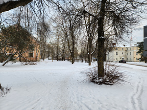 Juhkentali tn 1, Joaoru, Narva, Ida-Virumaa (17 foto / 28)
