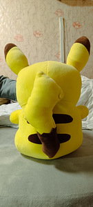 Pikachu (1 foto / 3)