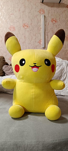 Pikachu (2 foto / 3)