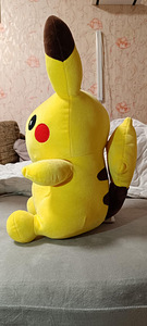 Pikachu (3 foto / 3)