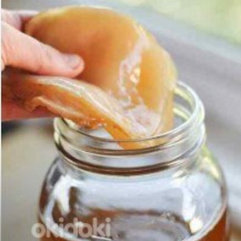 Teeseen (kombucha)