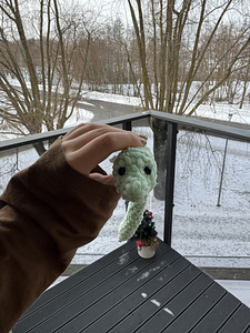 Kootud madu (6 foto / 8)
