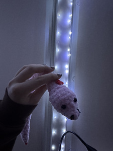 Kootud madu (8 foto / 8)