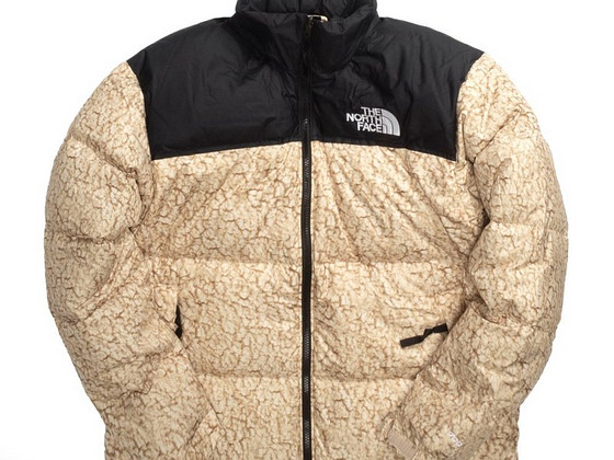 The north face popcorn