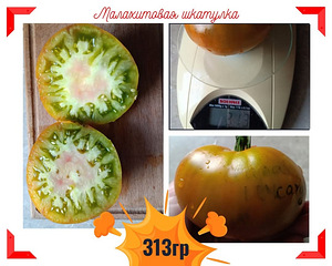 Вкуснотека (1 фото из 10)
