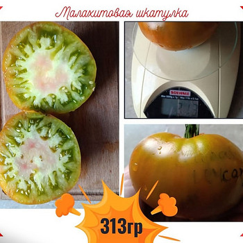 Вкуснотека