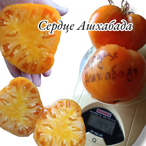 Вкуснотека (2 фото из 10)