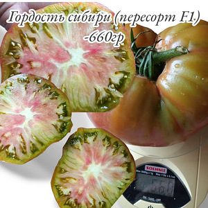 Вкуснотека (4 фото из 10)
