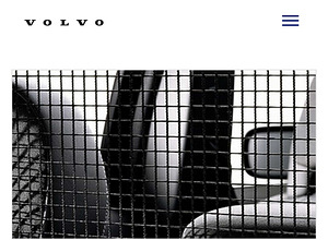 Защитная сетка для перевозки багажа в Volvo (3 фото из 3)