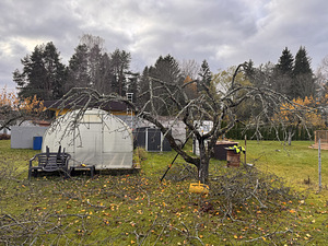 Viljapuude pügamine ja töötlemine (7 foto / 9)