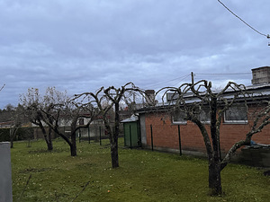 Viljapuude pügamine ja töötlemine (6 foto / 9)