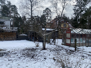 Viljapuude pügamine ja töötlemine (8 foto / 9)