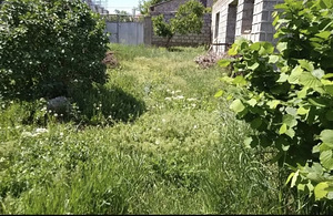 Մեծ հողատարածք Դավիթաշենում (2 լուսանկար / 3)