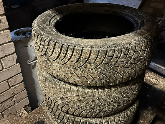 225/55R17 Triangle Icelynx