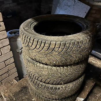 225/55R17 Triangle Icelynx