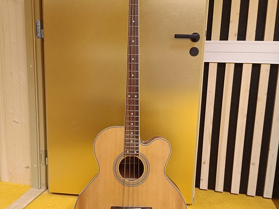 Acoustic bass guitar