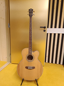 Acoustic bass guitar (1 foto / 3)