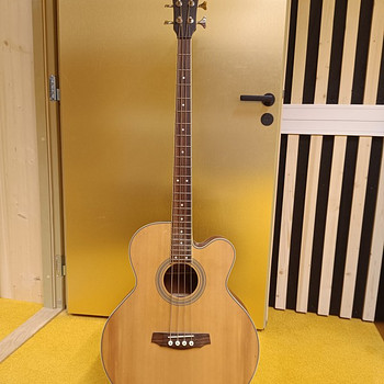 Acoustic bass guitar