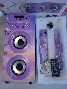 Karaokemasin DYNASONIC 2 mikrofoniga (7 foto / 7)