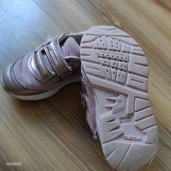 Geox 25