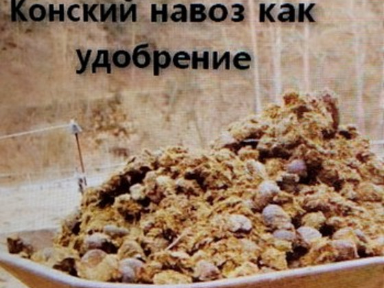 Müün hobusesõnnikut.
