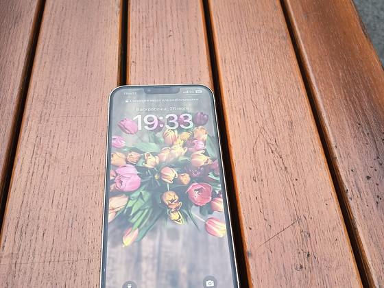 iPhone 13 Pro max 128 Gb