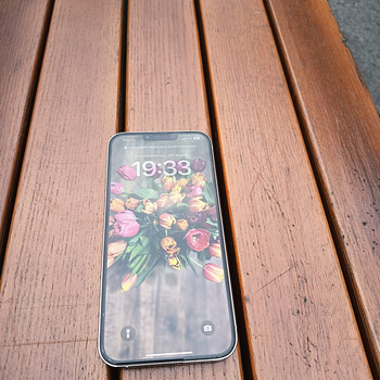 iPhone 13 Pro max 128 Gb
