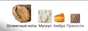 Mukhlat Abiyad Afnan 20 ml (4 фото из 4)