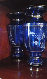 Հնդկական վազեր (1 լուսանկար / 3)