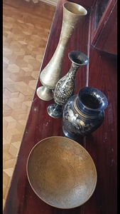 Հնդկական վազեր (3 լուսանկար / 3)
