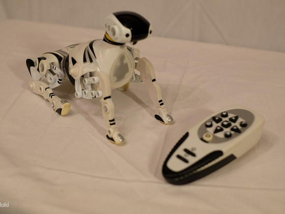 Kaugjuhitav robotkoer