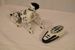 Kaugjuhitav robotkoer (1 foto / 5)