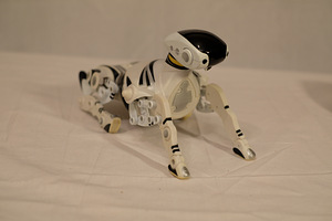 Kaugjuhitav robotkoer (5 foto / 5)
