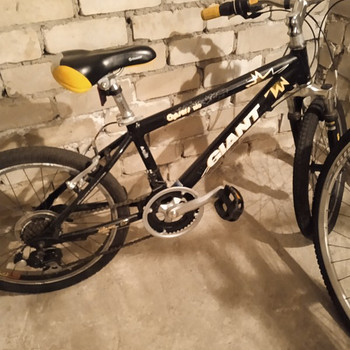 Giant 20