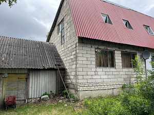 Zina, Ninasi, Mustvee vald, Jõgevamaa (1 foto / 11)