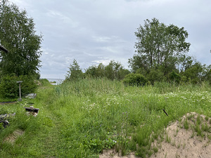 Zina, Ninasi, Mustvee vald, Jõgevamaa (11 foto / 11)