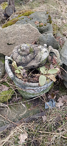 Aiakaunistused (2 foto / 2)
