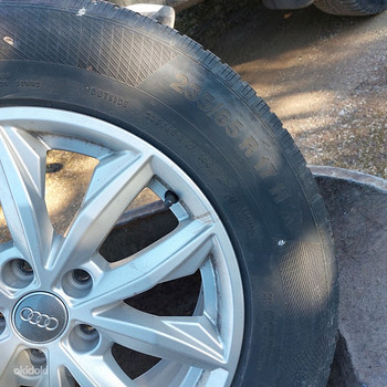 Audi veljed + rehvid 235/65/R17 Continental WinterContact