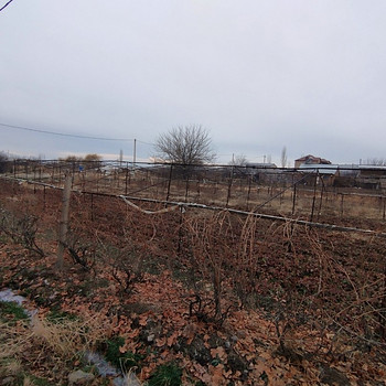 Հողատարածք