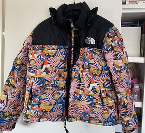 Куртка The North Face (1 фото из 2)