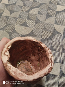 Ваза (1 фото из 1)