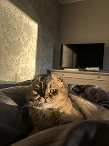 Девочка Лилу хочет жениха (3 фото из 3)