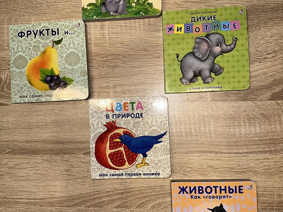 Книги детские на русском языке