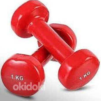 Hantlid 1 kg