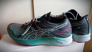 Р..41( 26см)-ASICS FujiSPEED active run (4 фото из 9)